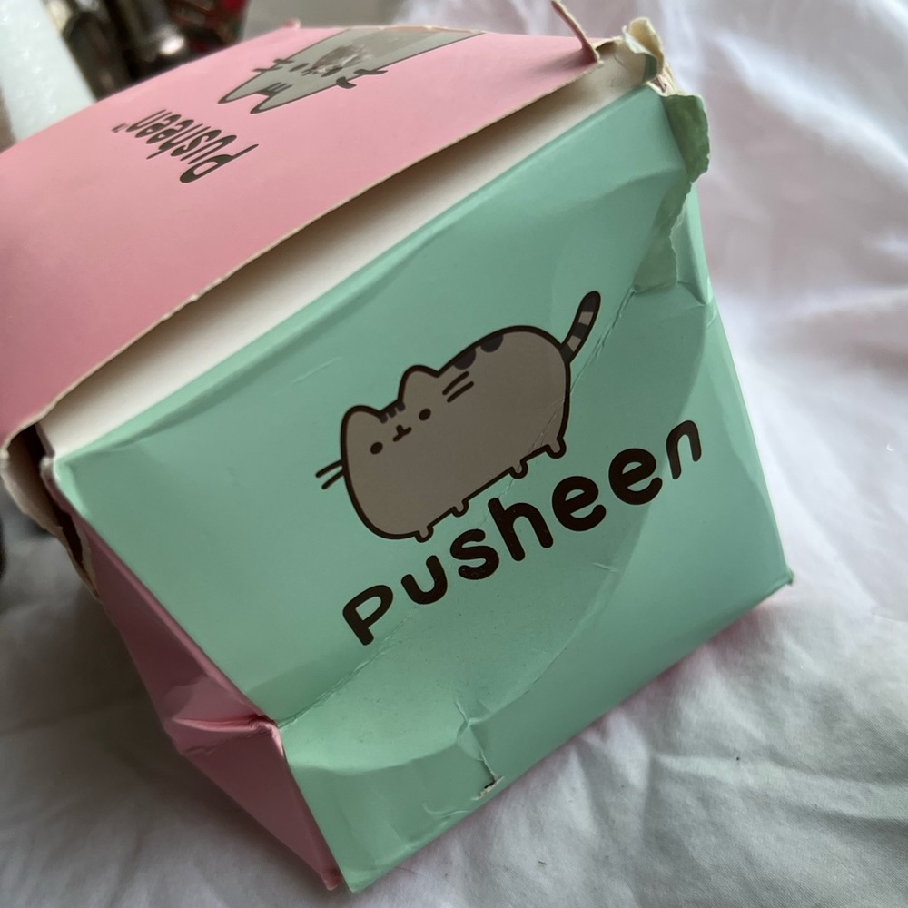 3 Pusheen containers- 1 plastic-1 ceramic  from 2018 - gaming from 2022 - Picture 9 of 16